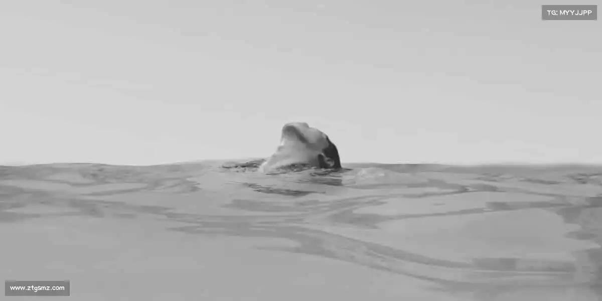 米兰milan运动不止,青春不息 —— 你的热血主场等你点燃🔥